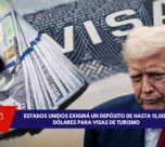 VISA Donald trump