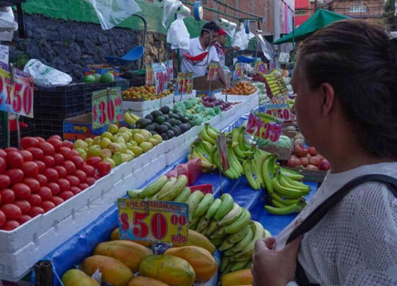 Ama de casa comprando en mercado