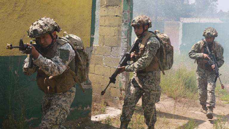 Operación “Murciélagos”: El Ejército Mexicano despliega 180 tropas de élite en Tierra Caliente, Michoacán