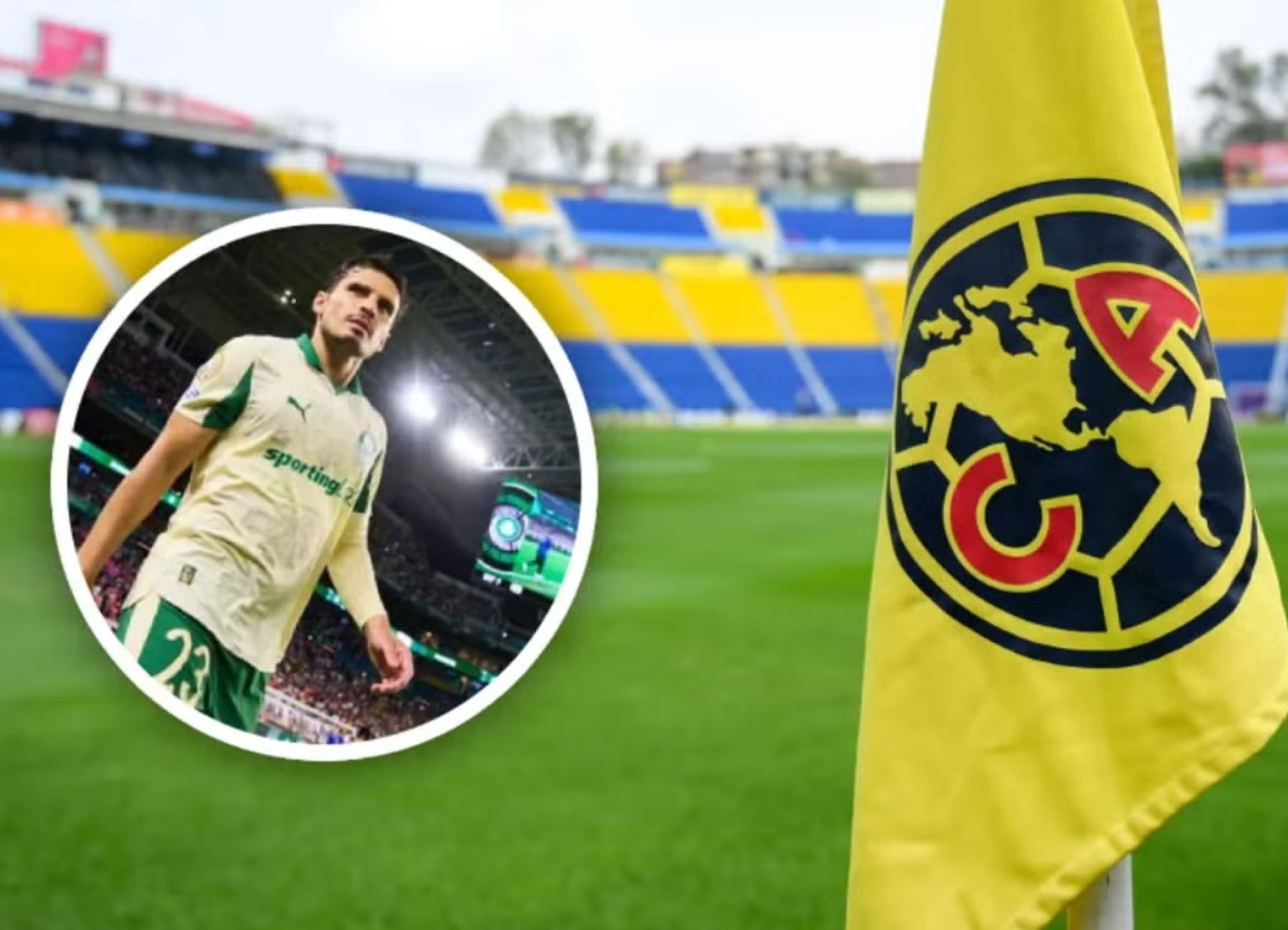 Plantilla azulcrema confirmada: Las razones por las que Veiga y Lichnovsky no jugarán la Champions Cup