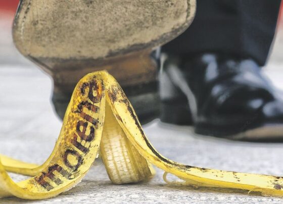 El reto de Morena: pasar del poder político a una estructura institucional sólida