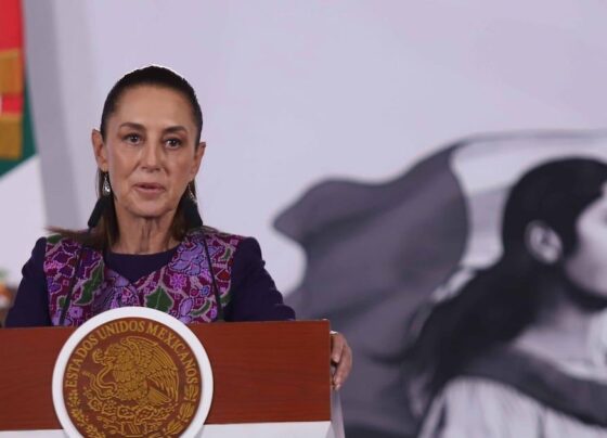 México abre diálogo con la ONU para enfrentar la crisis de desapariciones